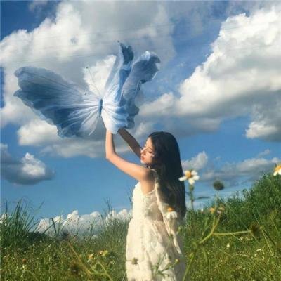 荒野的寿飞行队 完全版