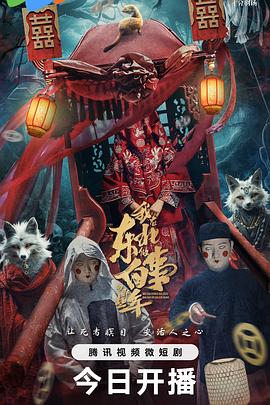 开往印度之船 封面图